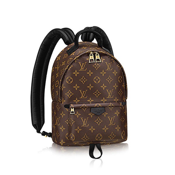 Louis Vuitton Palm Springs PM M41560