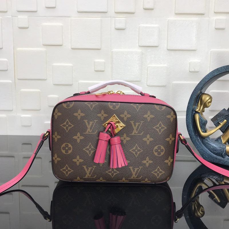 Louis Vuitton Saintonge M43557