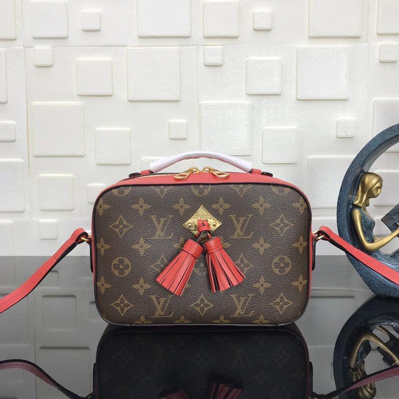 Louis Vuitton Saintonge M43556