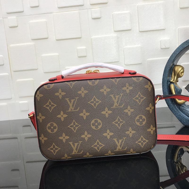 Louis Vuitton Saintonge M43556