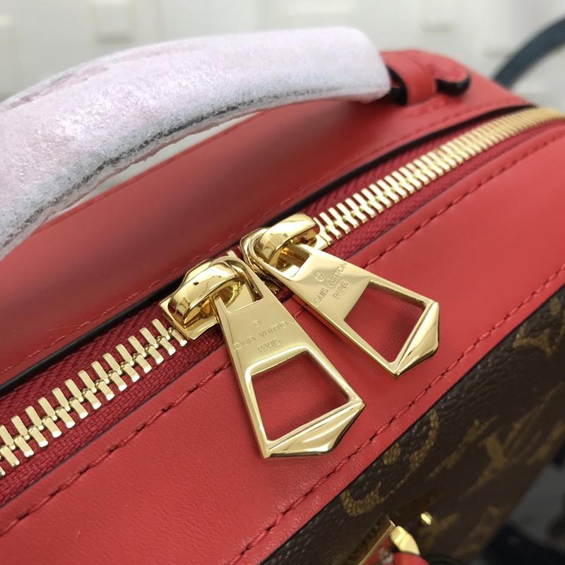 Louis Vuitton Saintonge M43556